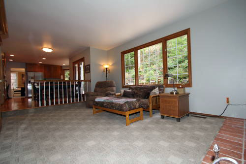 Lower level fireplace